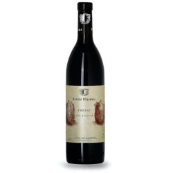 VINO TINTO TREPAT DEL JORDIET 2015 (B07)